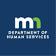 Remote Lead, Community Engagement at Minnesota Department of Human Services