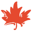 Community Engagement Coordinator - Winter 2026/27 at Big White Ski Resort Ltd.
